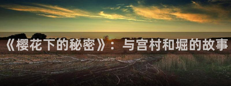 漫蛙2正版